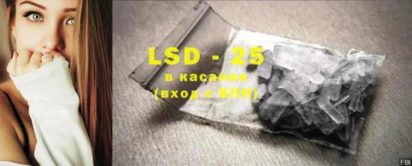 гашик Алексин