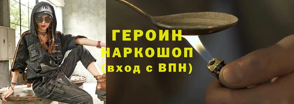 гашик Алексин