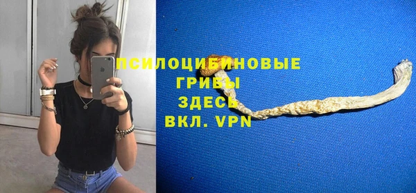 гашик Алексин