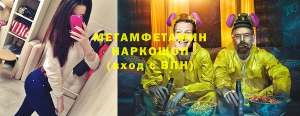 гашик Алексин